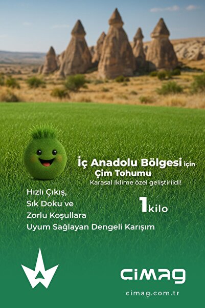 İç Anadolu Bölgesine Özel Çim Tohumu - 1 Kilo