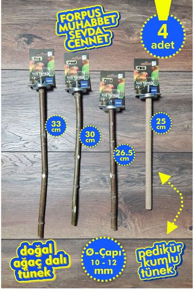 Vixpet مجموعة فينتي المكونة من 4 قطع من عناوين الببغاء الطبيعية |   كوملي تون...