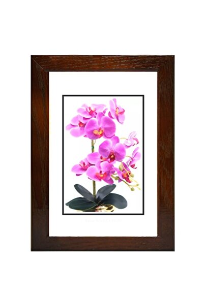 OEM Ramă foto din lemn, 20 x 30 cm, stejar Wenge