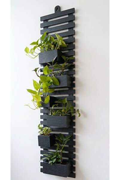 Ev dekka Ahşap Dikey Bahçe Duvar Saksılığı 80x25 cm- Modern Antrasit Siyah & ...