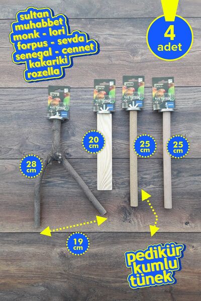 Vixpet مجموعة فينتي المكونة من 4 قطع من عناوين الببغاء الطبيعية |   كوملي تون...