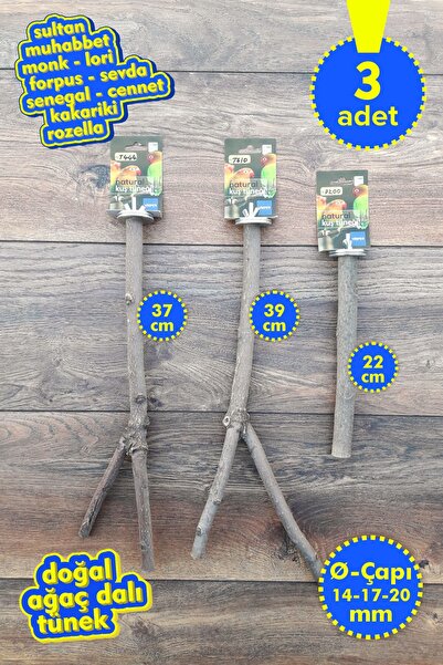 Vixpet مجموعة فينتي المكونة من 4 قطع من عناوين الببغاء الطبيعية |   سلطان، مو...