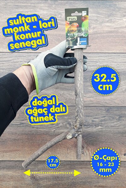 Vixpet ريش ببغاء طبيعي بطول 32.5 سم من فينتي |   جاكو، أمازون، ألكسندر، سلطان...