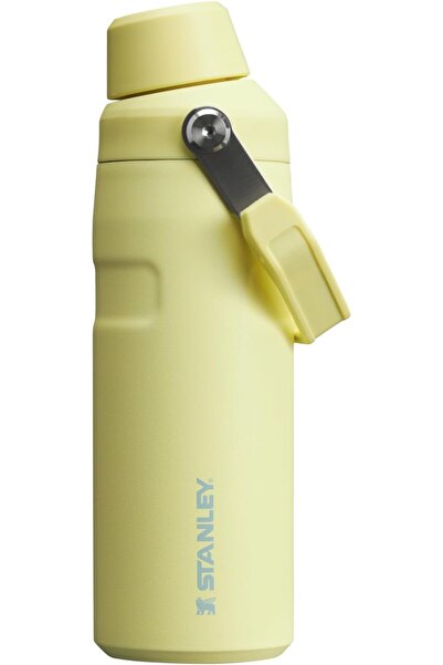 Genericc Stanley IceFlow Fast Flow Water Bottle 16 oz