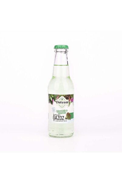 Datçam Çam Sakızı Aromalı Gazoz 200 Ml (24 Adet)