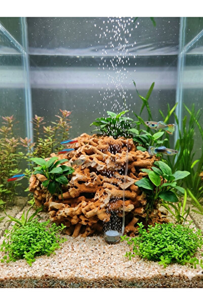 Ecdconcept Spaghetti Kaya Dogaltaş, Akvaryum Taşı Dekorasyon Süsü , Delikli T...