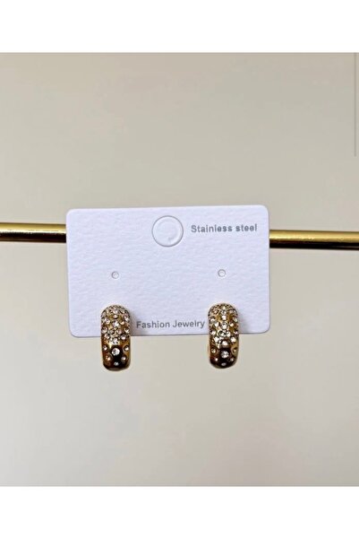 Haziran Accessory Steel Small Ring Stone Gold Earrings