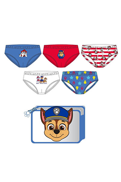 PAW PATROL Set of 5 cotton briefs for boys, 104-110 cm 4-5 years Blue