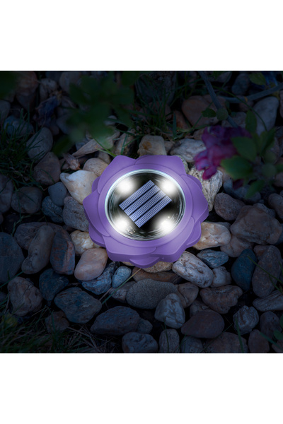 Garden of Eden Lampă solară înjunghiată cu LED-uri - violet - alb rece - 11,5...