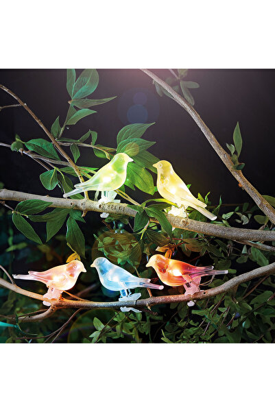 Garden of Eden Ghirlandă solară cu păsărele - 80 cm - 5 LED-uri RGB colorate ...
