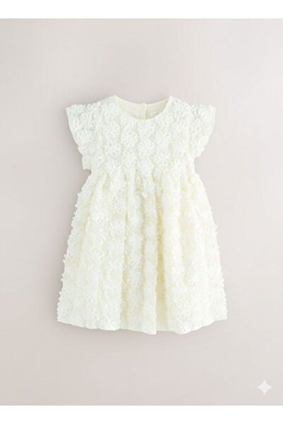 Next Baby Cotton Lined 3D Dress