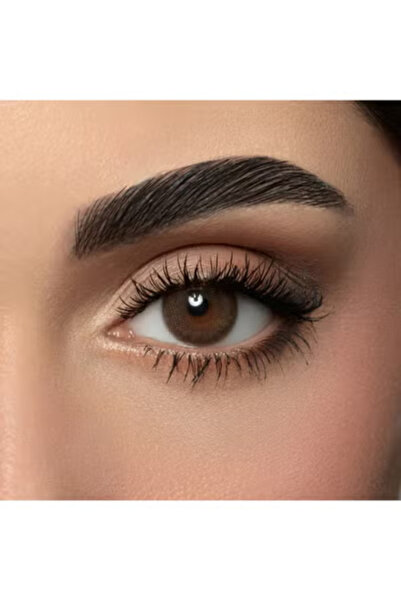 Amara 10 Daily Color Contact Lenses Dark Sepia