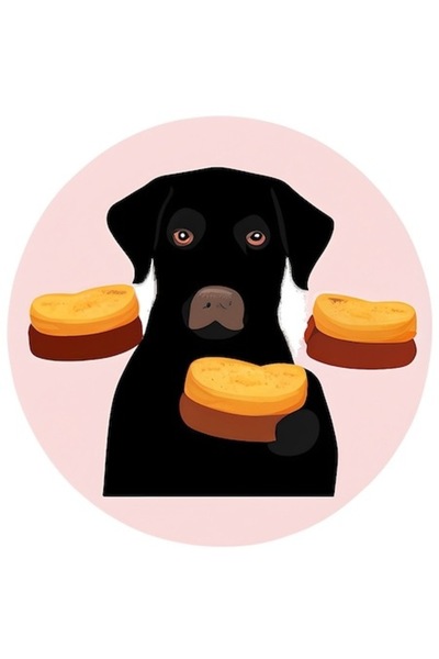 OEM Διακοσμητικό αυτοκόλλητο, Σκύλος, Μαύρο, 60 εκ.