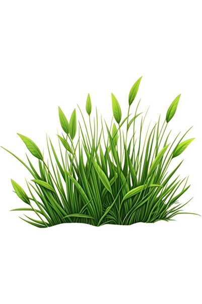 OEM Autocolant decorativ, iarbă, verde