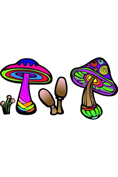 OEM Διακοσμητικό αυτοκόλλητο, Μανιτάρια, Πολύχρωμο, 85 εκ.