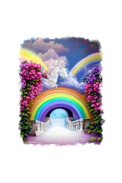 OEM Decorative Sticker, Bridge, White, 70 cm