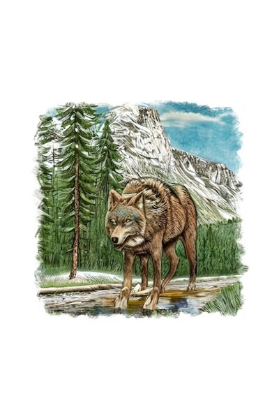 OEM Decorative Sticker, Wolf, Brown, 55 cm