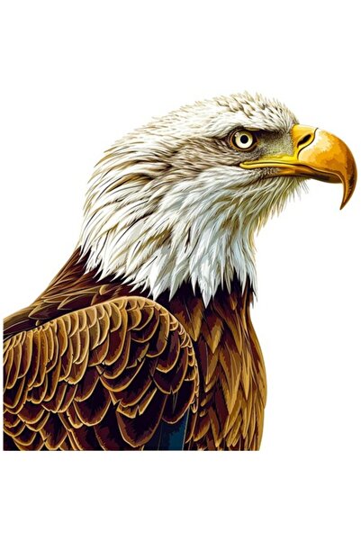 OEM Autocolant decorativ, vultur, maro