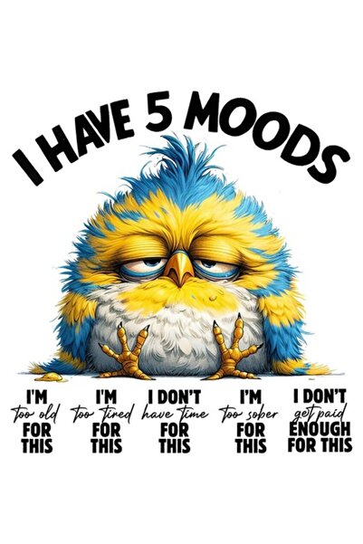 OEM Funny Bird Decorative Sticker