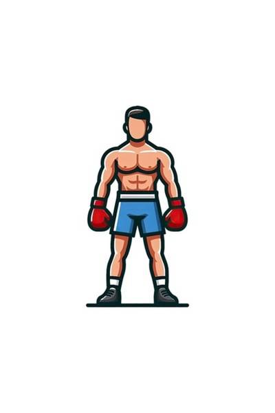 OEM Διακοσμητικό αυτοκόλλητο, Boxer, Πολύχρωμο