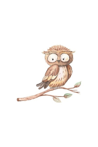 OEM Διακοσμητικό αυτοκόλλητο Κουκουβάγια, καφέ, 49 εκ.