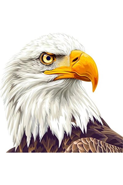 OEM Decorative Sticker, Eagle, White