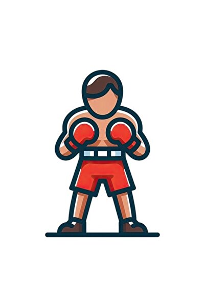 OEM Διακοσμητικό αυτοκόλλητο, Boxer, Πολύχρωμο