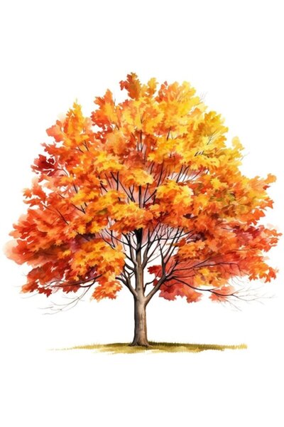 OEM Autocolant decorativ, Copac de toamnă, portocaliu