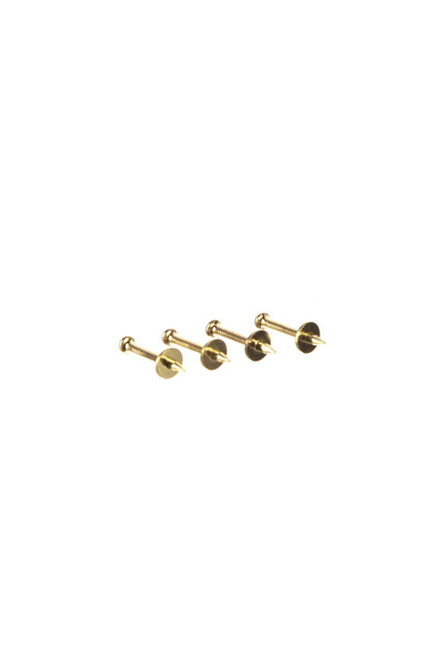 OEM Set of 10 picture nails, gold