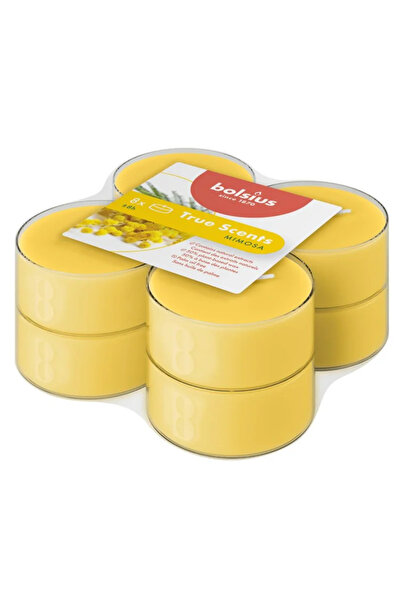 OEM Set of 8 scented pastilla candles, mimosa aroma, burning time 8 hours