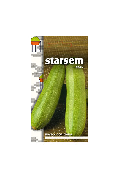 OEM Σπόροι λαχανικών, κολοκυθάκια Bianca Goriziana, Starsem