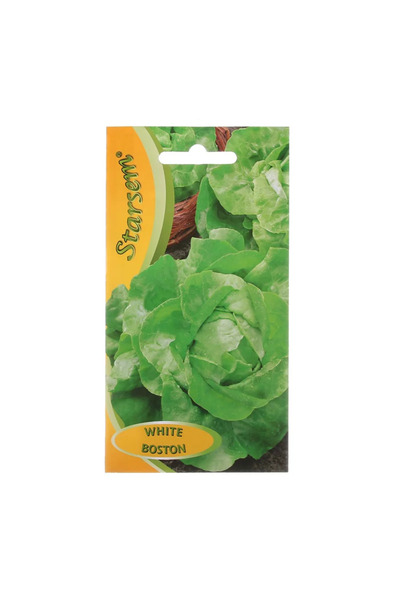 OEM Seminte legume, salata White Boston, Starsem