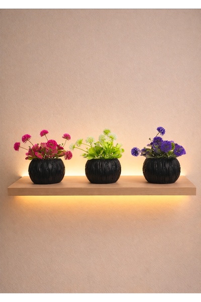 Dekor 3 lü siyah saksı ve renkli bitkiler pembe mor beyaz