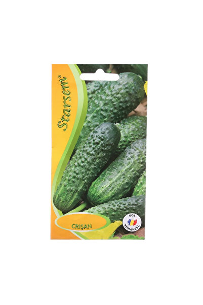 OEM Seminte legume, castraveti Crisan, Starsem