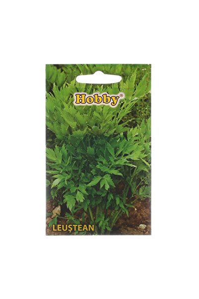 OEM Seminte plante aromatice, leustean, Hobby