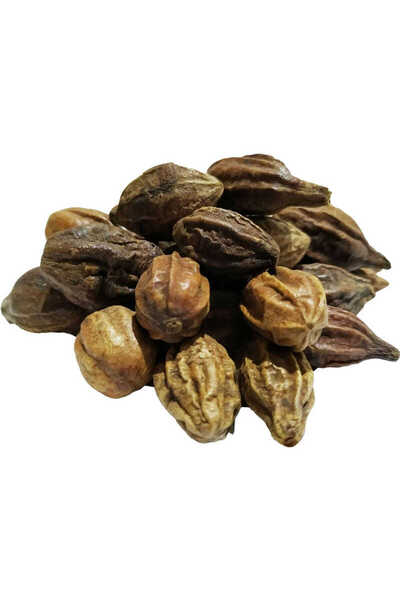 Generic Brand نواة هيلي صفراء طبيعية عبوة هيلي صفراء 1000 جرام