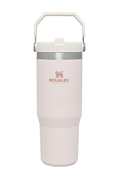 Stanley 30oz Stainless Steel Tumbler - Vacuum Insulated Water Bottle for Home...