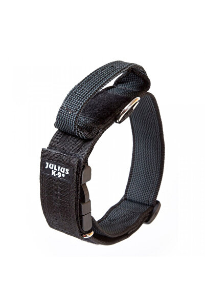 Other Dog collar, gray, adjustable, with handle and safety lock, 38-53 cm x 4 cm