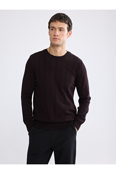 LC Waikiki Özmarka New Season Crew Neck Striped Men's Knitwear Sweater