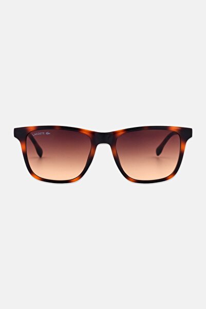 Lacoste Men L6041S Square Sunglasses, Havana Brown