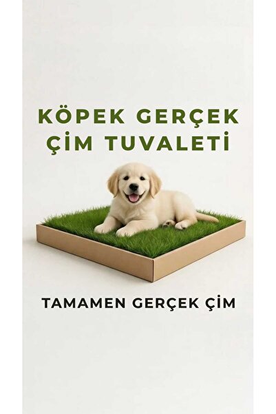 pati nefes Köpek Canlı Çim Tuvaleti