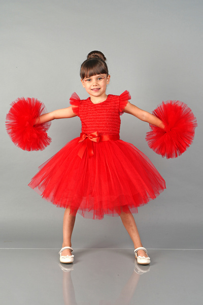Delfini kids Pompom Sleeves Tulle Piece Party and Birthday Evening Dress