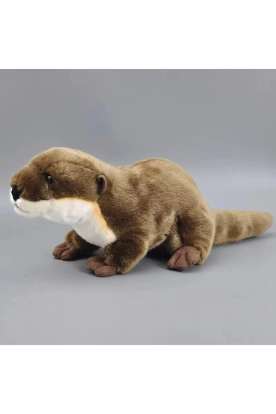 Eco Lounge Pl50172 50 cm Lying Sesamur-Hly