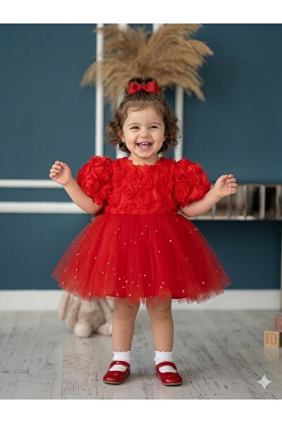 Dizaynbyasena Baby Girl Birthday Dress with Red Puffy 3D Roses and Pearls on ...