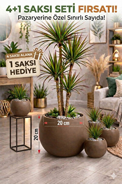 CANBOTANİK Salon Saksı 20 cm Mocha 4 Alana 1 Bedava Küre Saksı -İçliksiz