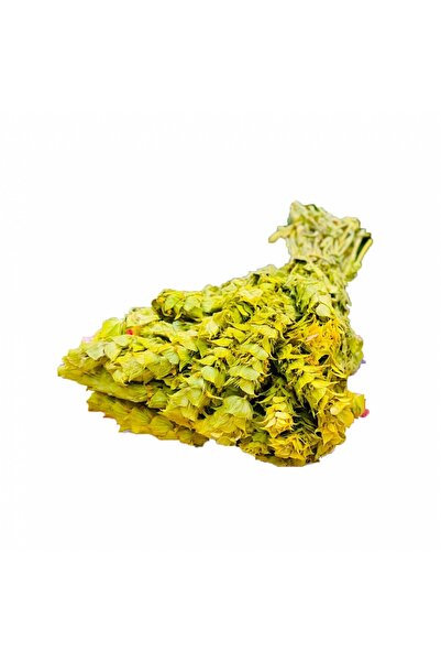 nk organik Yayla Tea Demet Anamur 1Pc