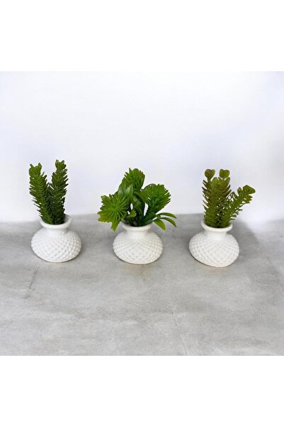 Dekora Çiçek 3-Piece Mini Vase, Ornament, Coffee Side Presentation, Gift, Dec...