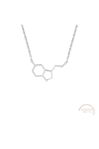 bigakan Serotonin Molekülü Taşsız Model 925 Ayar Gümüş Kadın Kolye
