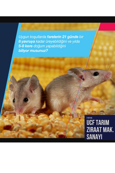 UCF Ziraat Tarla Faresi Lağım Faresi Çatı-Ev Faresi Mücadelesi için Zehirli Ç...