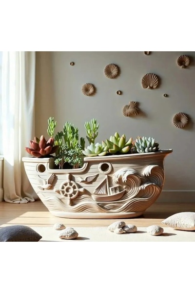 BELİNOPLUS Saksı&sukulent